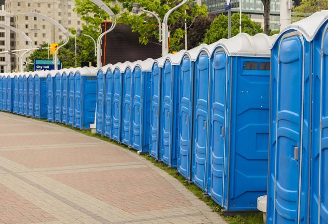 handicap accessible portable restrooms with plenty of room to move around comfortably in Flossmoor, IL